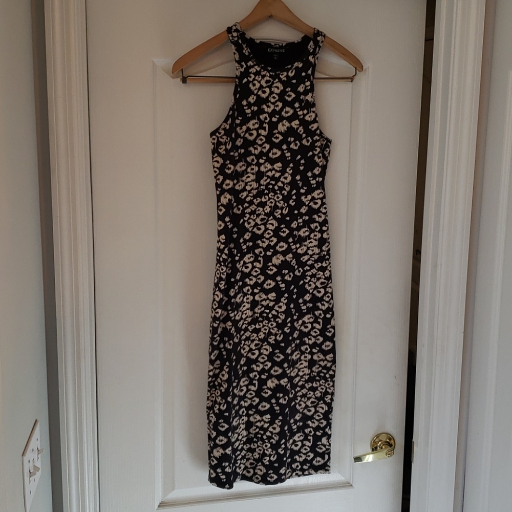 Express form fitting Dress